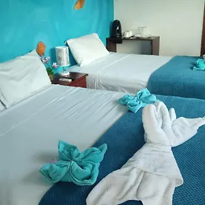 book here