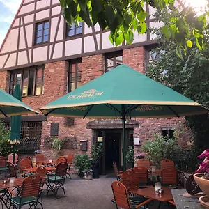book here
